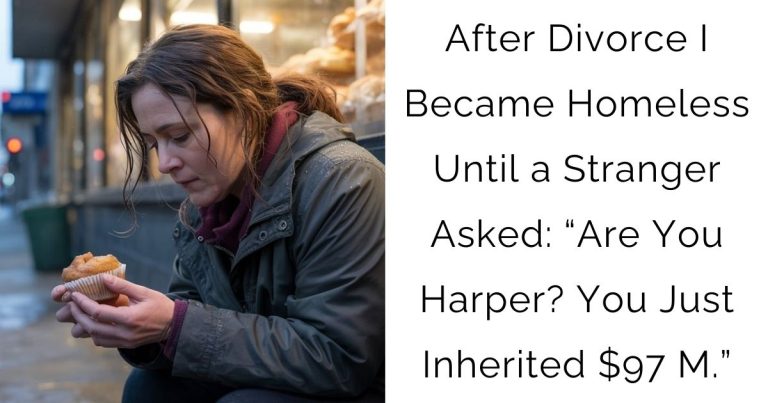 After Divorce I Became Homeless Until a Stranger Asked: “Are You Harper? You Just Inherited $97 M.”