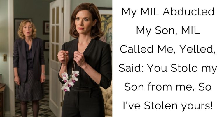 My MIL Abducted My Son, MIL Called Me, Yelled, Said: You Stole my Son from me, So I’ve Stolen yours!