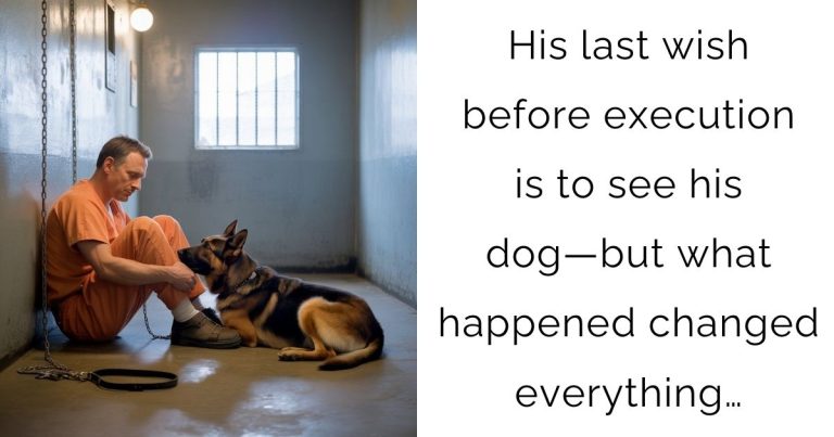 His last wish before execution is to see his dog—but what happened changed everything…