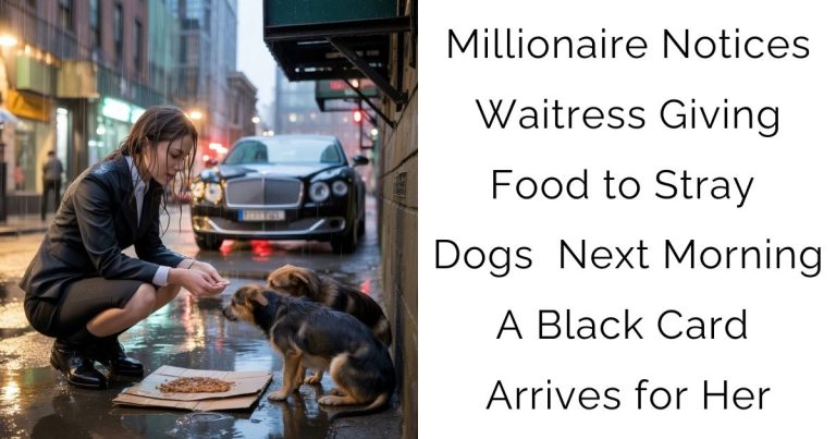 Millionaire Notices Waitress Giving Food to Stray Dogs — Next Morning, A Black Card Arrives for Her