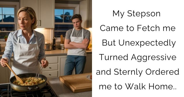 My Stepson Came to Fetch me But Unexpectedly Turned Aggressive and Sternly Ordered me to Walk Home..