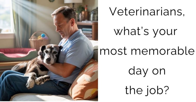 Veterinarians, what’s your most memorable day on the job?