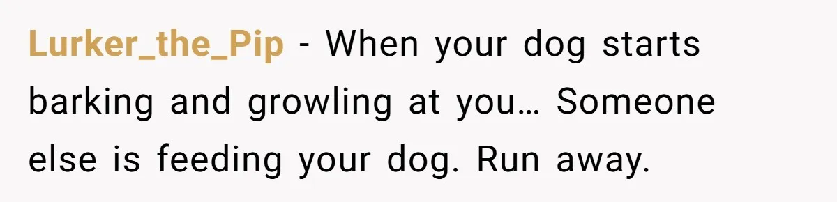 Lurker_the_Pip − When your dog starts barking and growling at you… Someone else is feeding your dog. Run away.