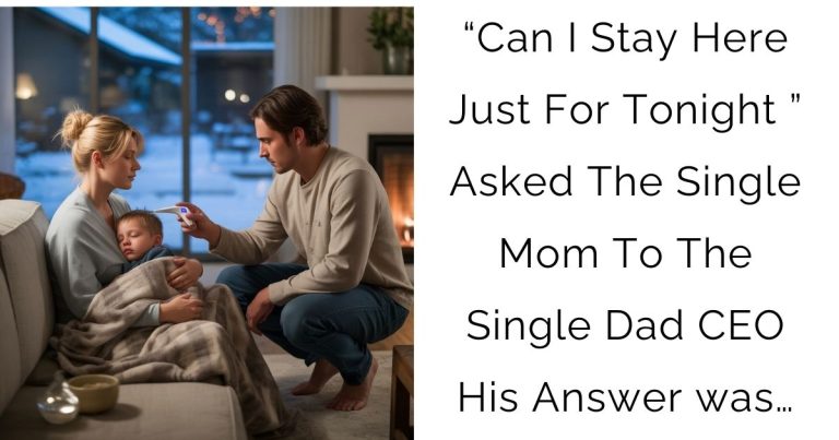 “Can I Stay Here Just For Tonight ” Asked The Single Mom To The Single Dad CEO—His Answer was…