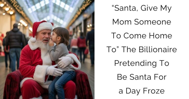 “Santa, Give My Mom Someone To Come Home To”—The Billionaire Pretending To Be Santa For a Day Froze