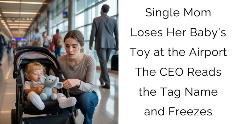 Single Mom Loses Her Baby’s Toy at the Airport — The CEO Reads the Tag Name and Freezes
