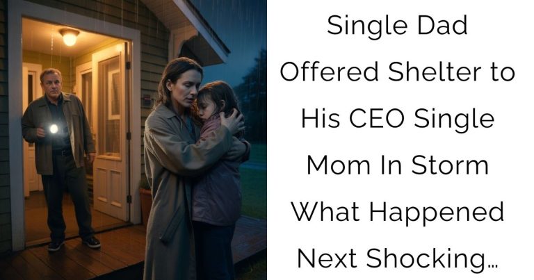 Single Dad Offered Shelter to His CEO Single Mom In Storm — What Happened Next Shocking…