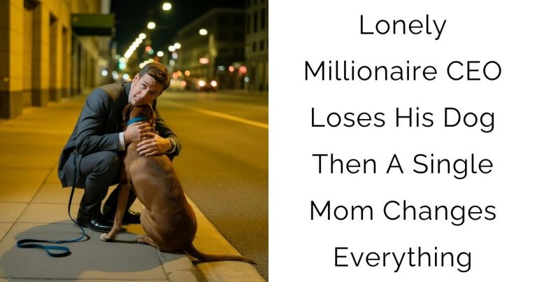 Lonely Millionaire CEO Loses His Dog—Then A Single Mom Changes Everything