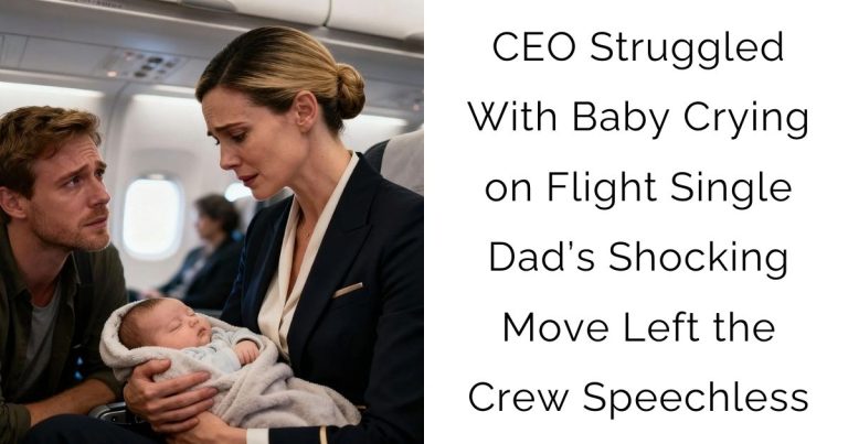CEO Struggled With Baby Crying on Flight — Single Dad’s Shocking Move Left the Crew Speechless