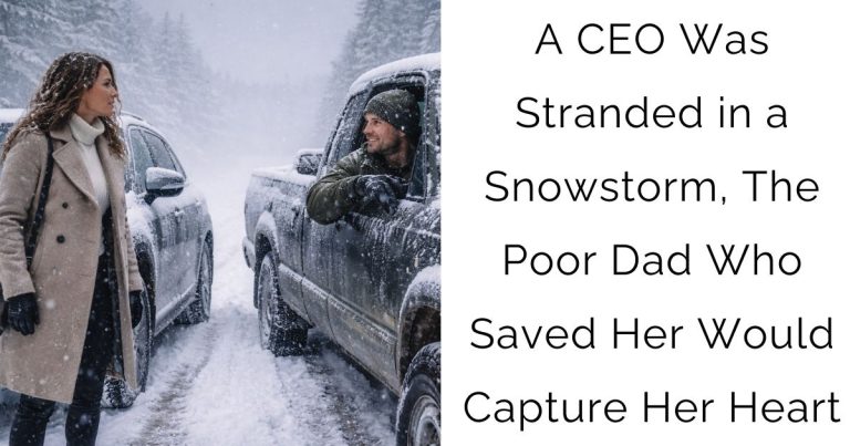 A CEO Was Stranded in a Snowstorm, The Poor Dad Who Saved Her Would Capture Her Heart