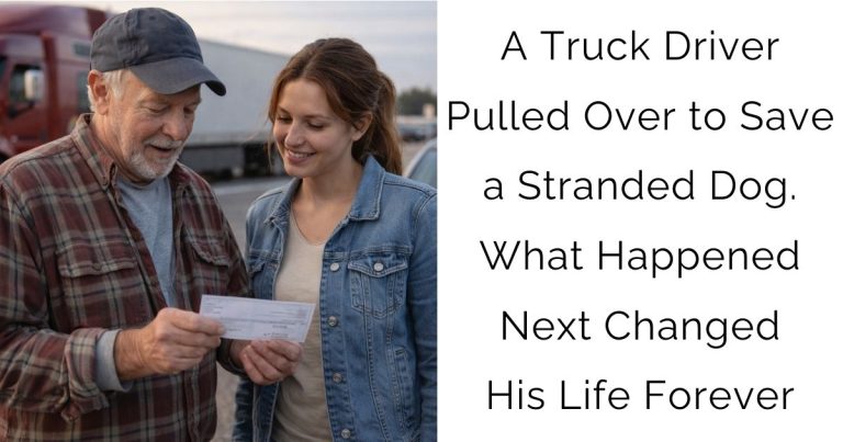 A Truck Driver Pulled Over to Save a Stranded Dog. What Happened Next Changed His Life Forever