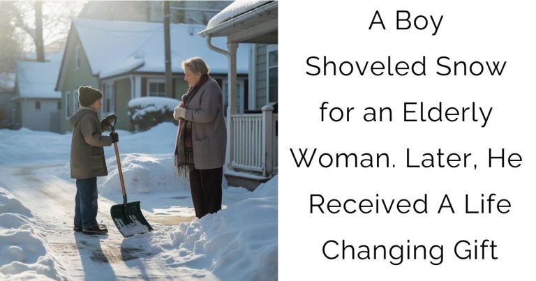 A Boy Shoveled Snow for an Elderly Woman. Later, He Received A Life-Changing Gift