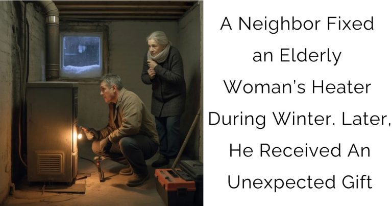 A Neighbor Fixed an Elderly Woman’s Heater During Winter. Later, He Received An Unexpected Gift