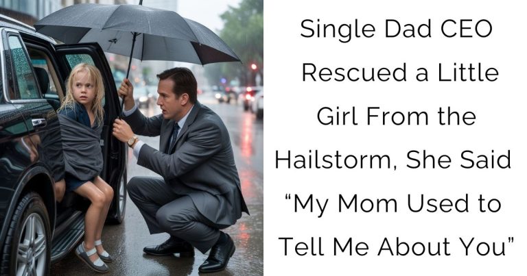 Single Dad CEO Rescued a Little Girl From the Hailstorm, She Said “My Mom Used to Tell Me About You”