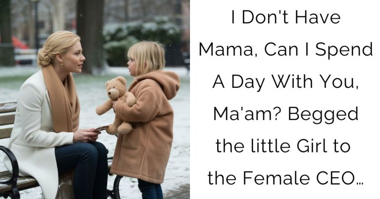 I Don’t Have Mama, Can I Spend A Day With You, Ma’am? —Begged the little Girl to the Female CEO…
