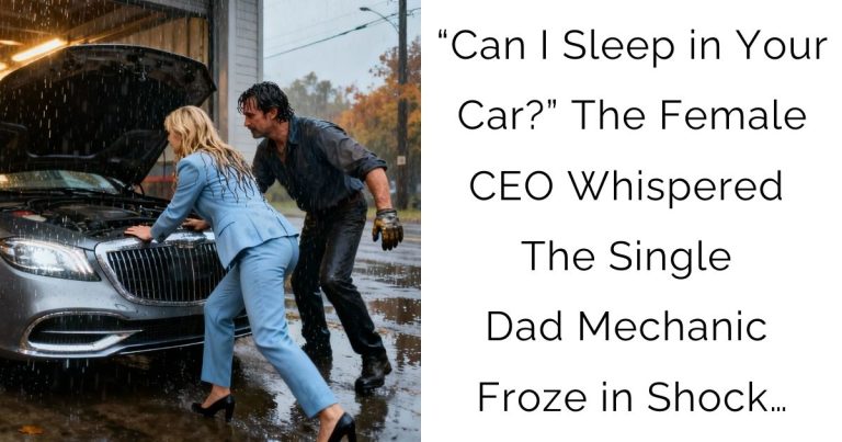 “Can I Sleep in Your Car?” The Female CEO Whispered—The Single Dad Mechanic Froze in Shock…