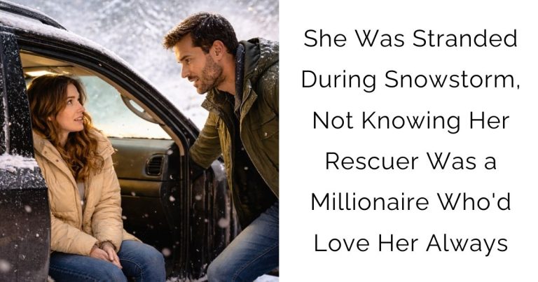 She Was Stranded During Snowstorm, Not Knowing Her Rescuer Was a Millionaire Who’d Love Her Always