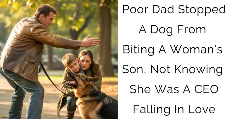 Poor Dad Stopped A Dog From Biting A Woman’s Son, Not Knowing She Was A CEO Falling In Love
