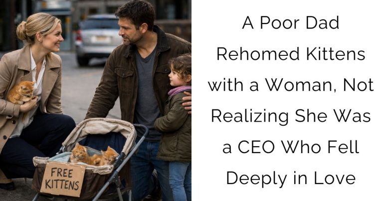 A Poor Dad Rehomed Kittens with a Woman, Not Realizing She Was a CEO Who Fell Deeply in Love