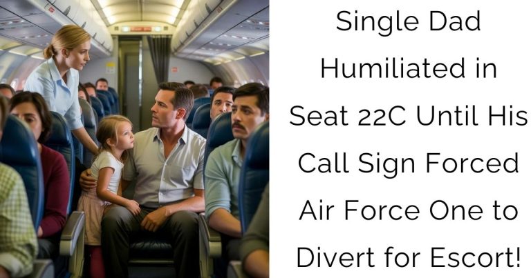 Single Dad Humiliated in Seat 22C — Until His Call Sign Forced Air Force One to Divert for Escort!