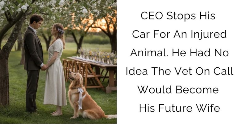CEO Stops His Car For An Injured Animal. He Had No Idea The Vet On Call Would Become His Future Wife