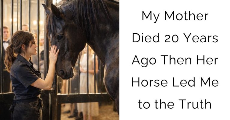 My Mother Died 20 Years Ago—Then Her Horse Led Me to the Truth