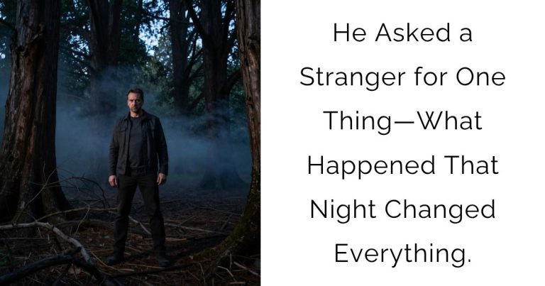 He Asked a Stranger for One Thing—What Happened That Night Changed Everything.