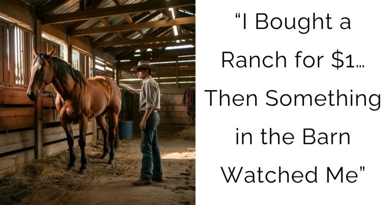 “I Bought a Ranch for $1… Then Something in the Barn Watched Me”
