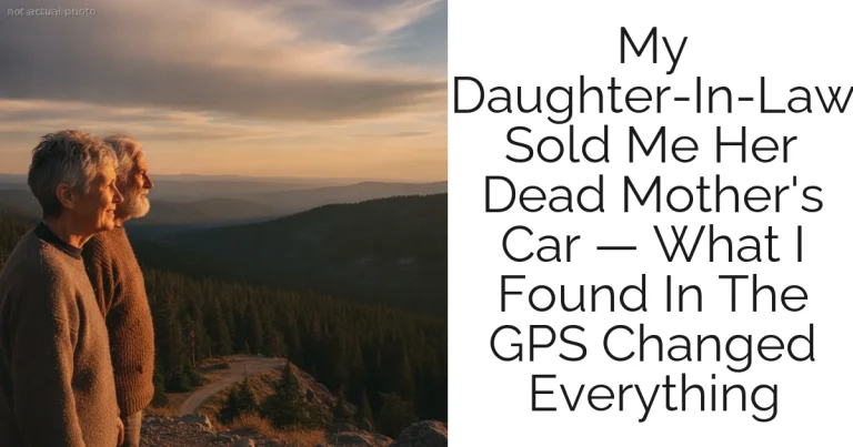 My Daughter-In-Law Sold Me Her Dead Mother's Car — What I Found In The GPS Changed Everything
