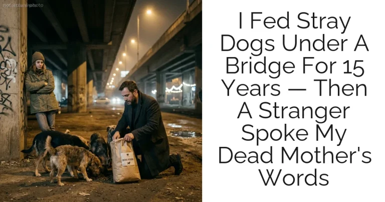 I Fed Stray Dogs Under A Bridge For 15 Years — Then A Stranger Spoke My Dead Mother's Words